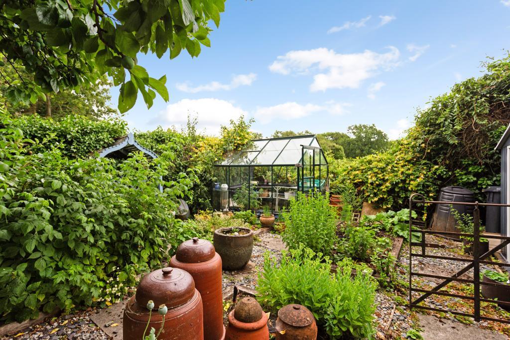 A VEG GARDEN.jpg